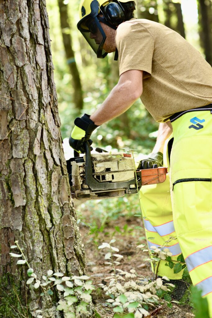 SwedePro—Chainsaw Safety And Protective Gear Grand Forest